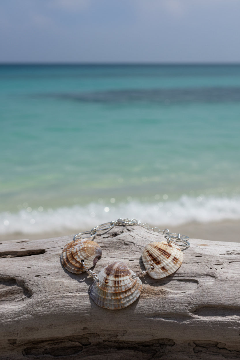 Calico scallop shell bracelet close-up on white surface