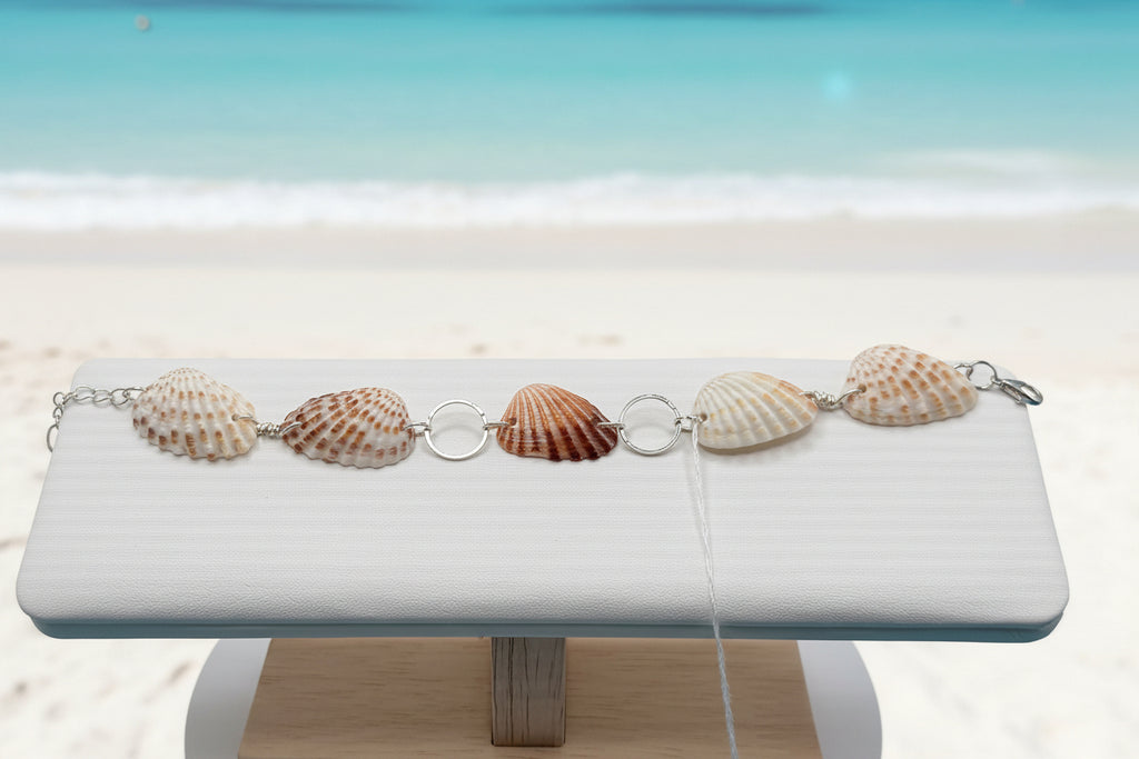 Cardita shell bracelet with quarter for scale on white display