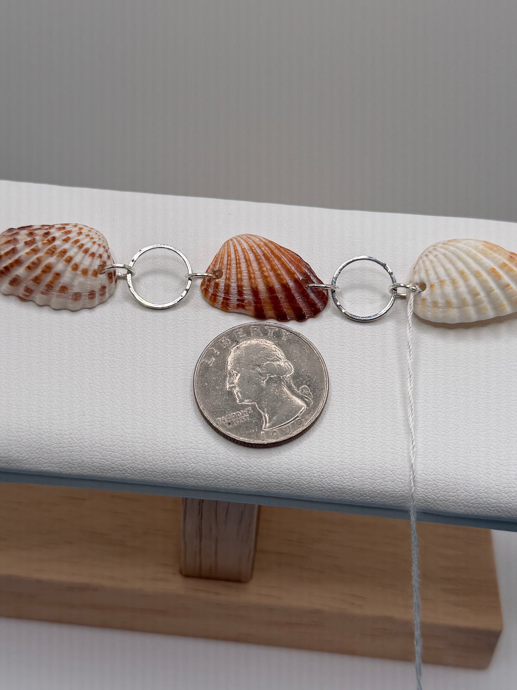 Cardita shell bracelet on white jewelry display side view