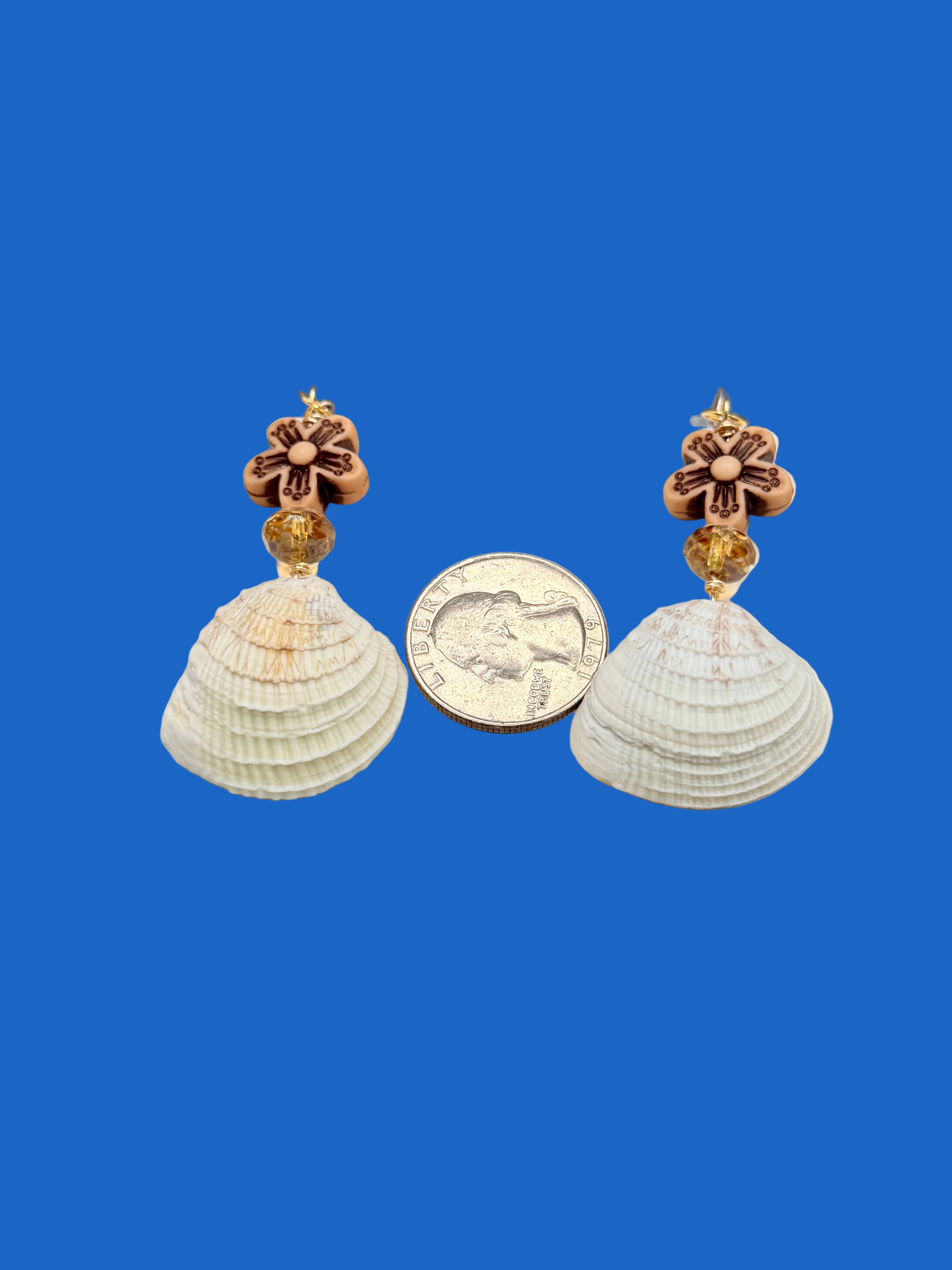 Pair of ribbed venus clam shell earrings on blue background