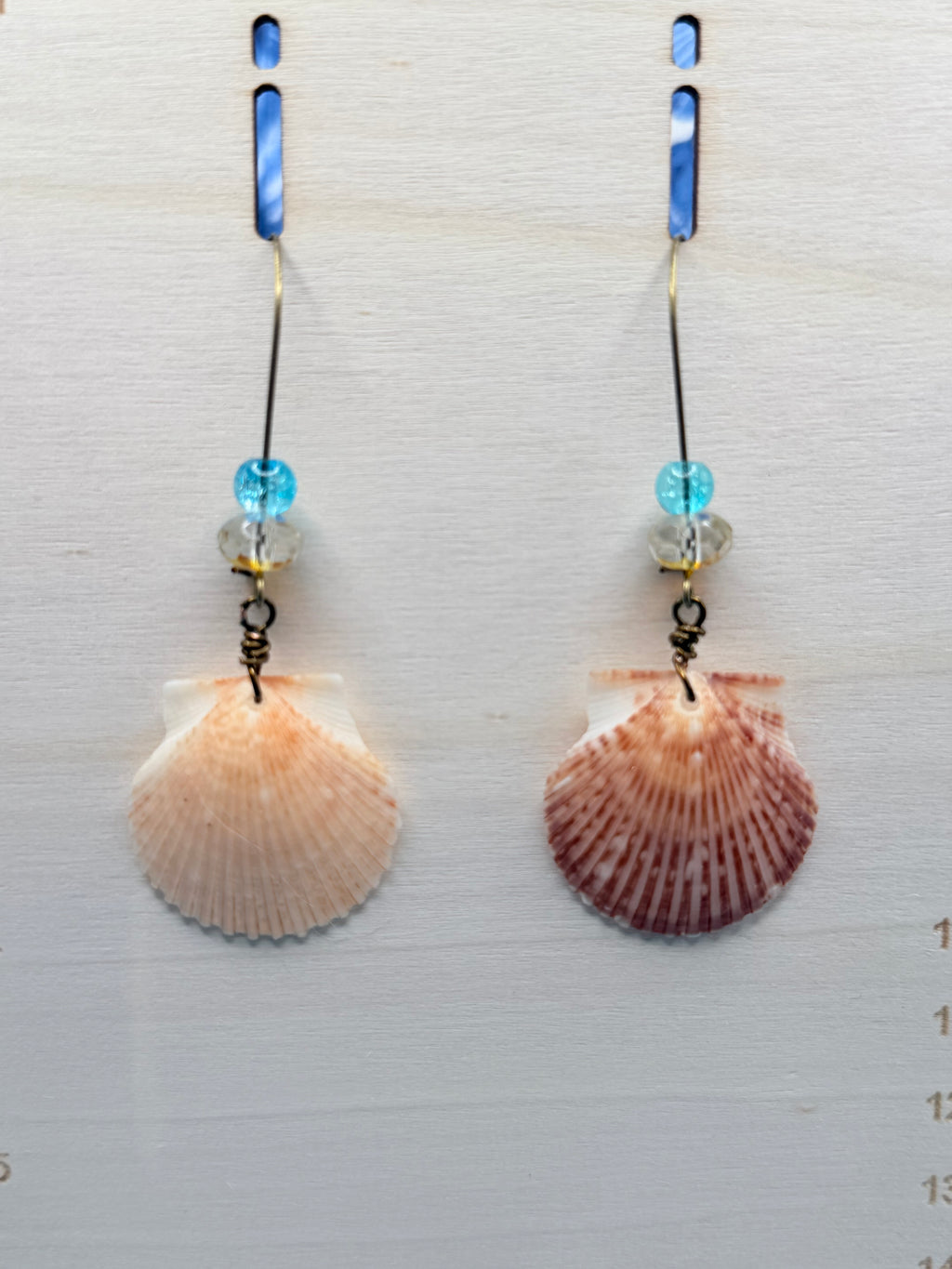 Pair of calico scallop shell earrings on display board showing full drop