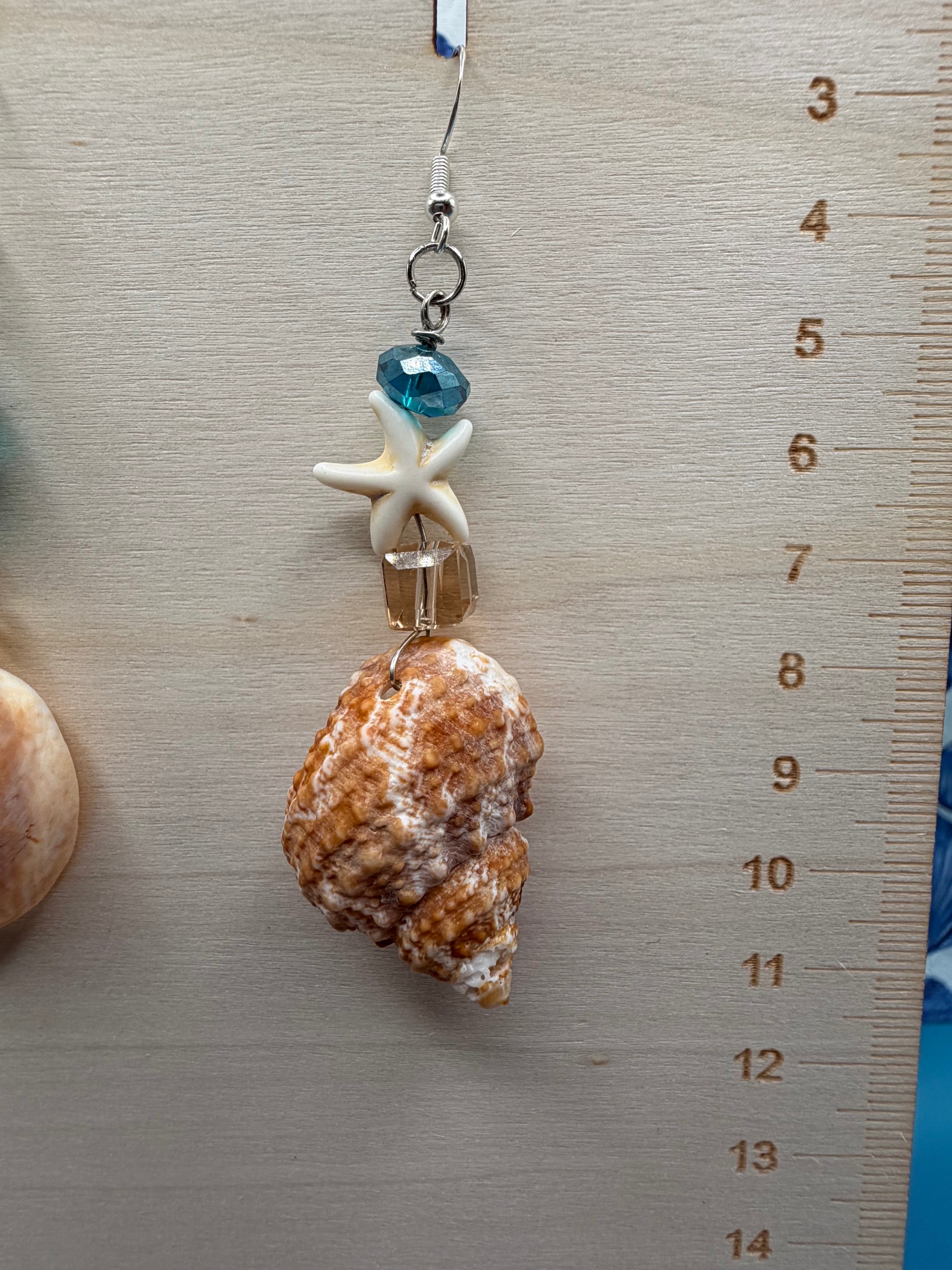 Mismatched turban and slipper shell earrings on display board showing full pair
