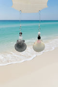 Scallop Shell Earrings, Real seashell dangle earrings, black & white beaded beach jewelryHooks