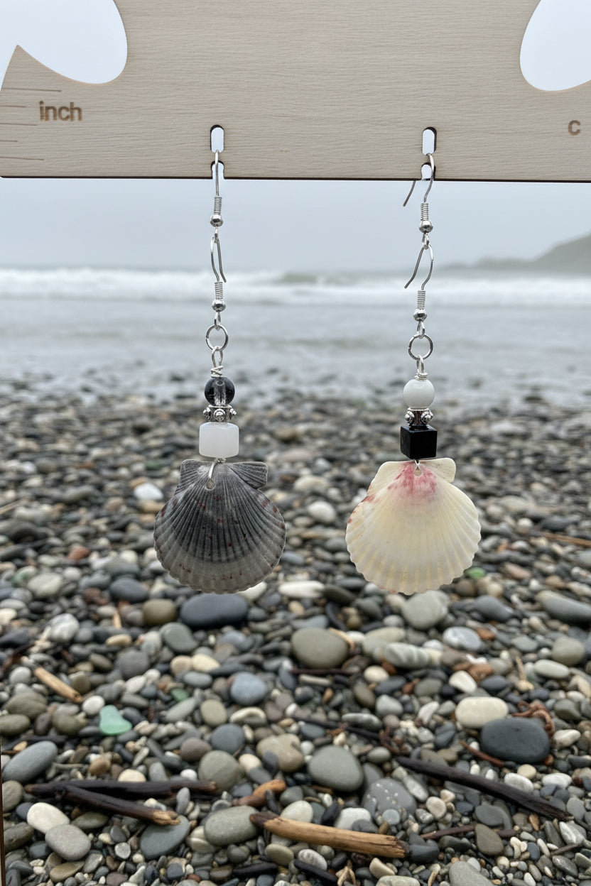 Scallop Shell Earrings, Real seashell dangle earrings, black & white beaded beach jewelryHooks