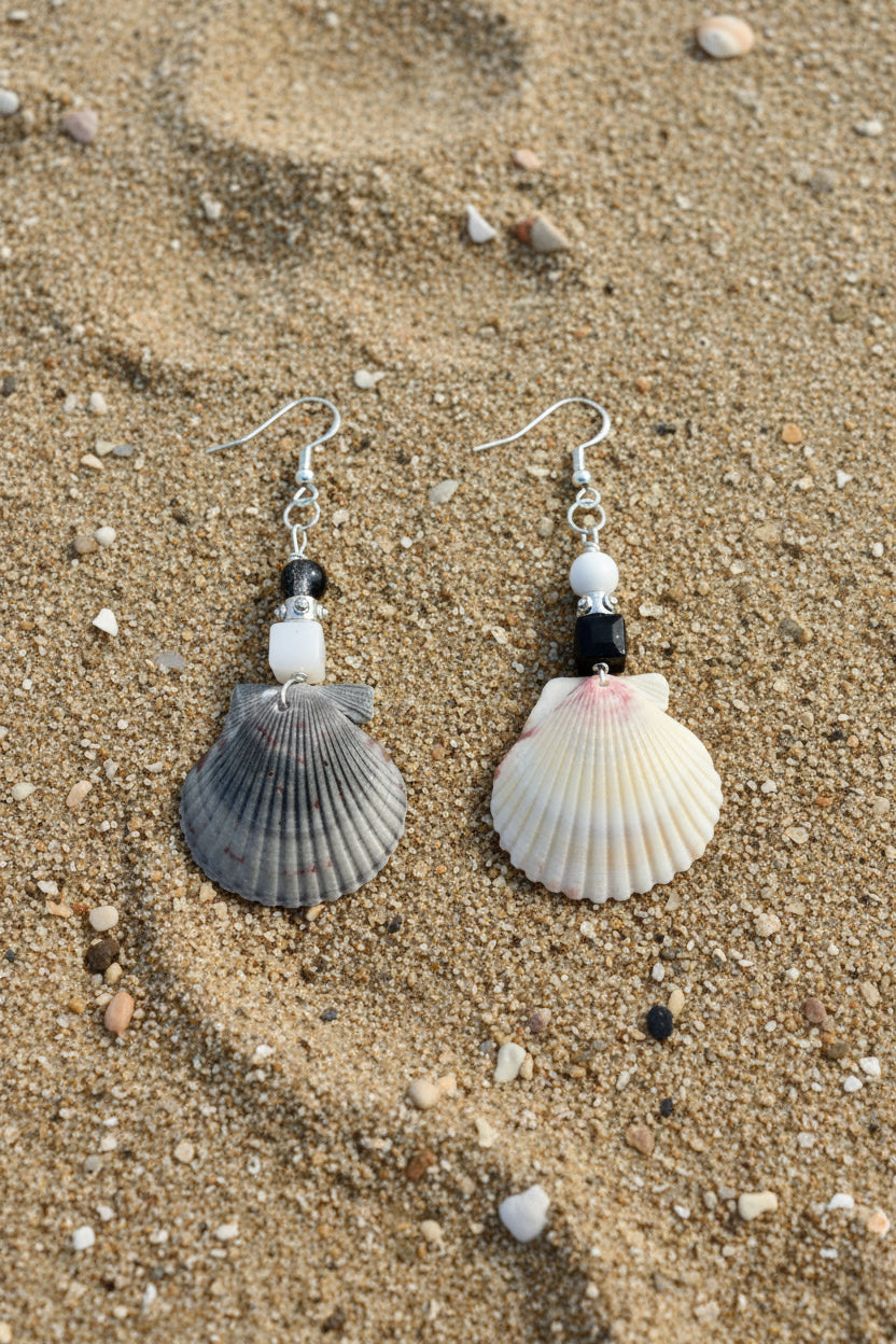 Front view of scallop shell earrings with coin for scale