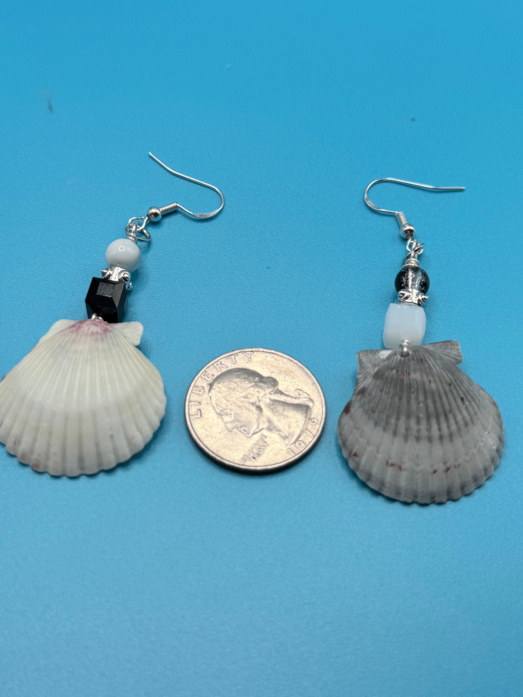 Scallop Shell Earrings, Real seashell dangle earrings, black & white beaded beach jewelryHooks