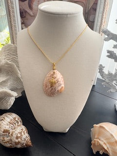 Bold Gold Sassy Turtle Necklace