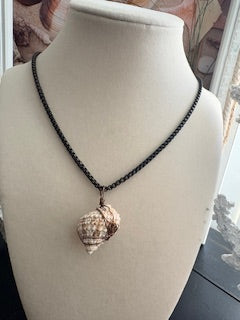 Speckled Turban Shell Dark Bronze Chain Necklace