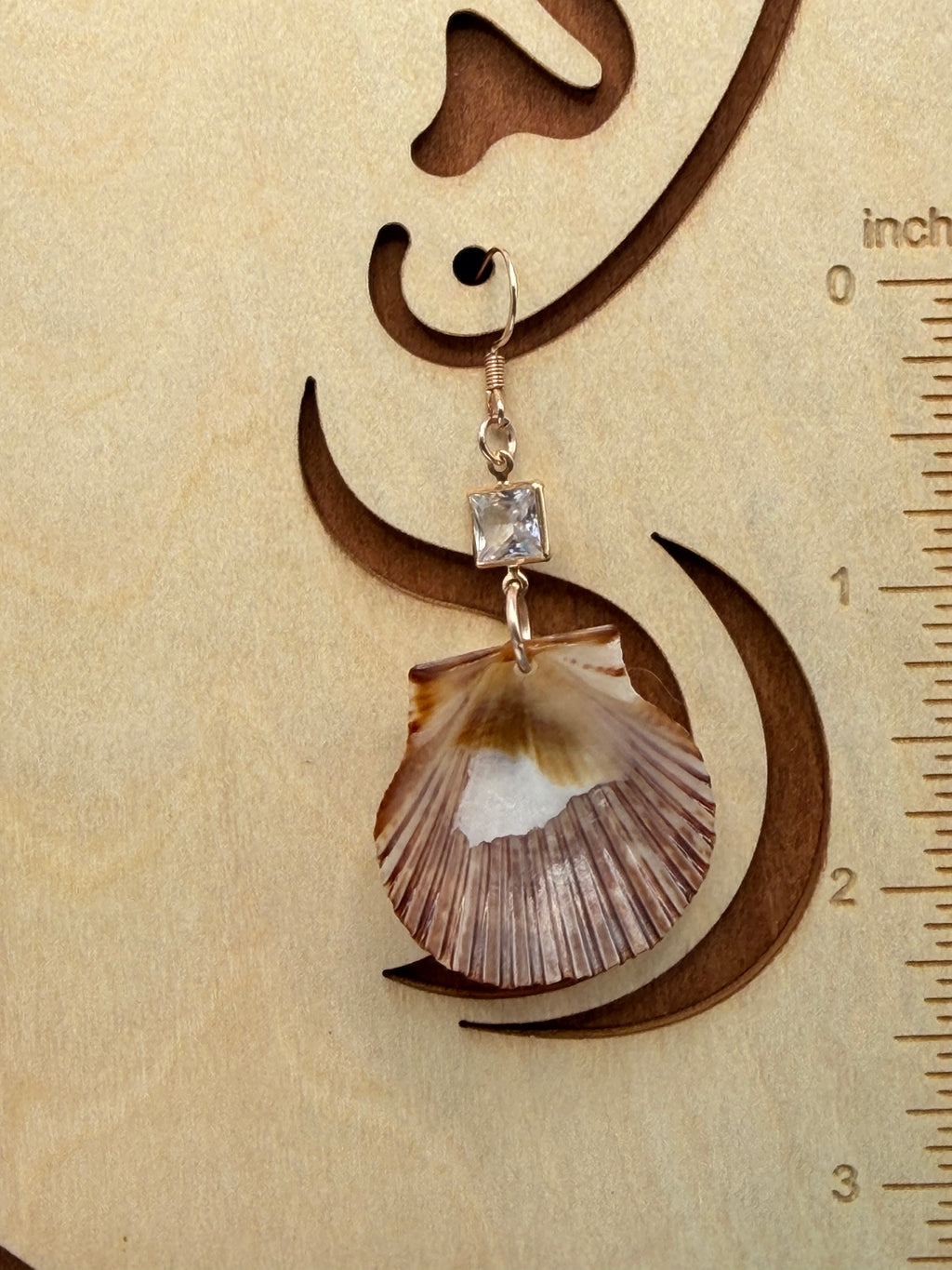 Calico scallop shell earrings pair on blue background