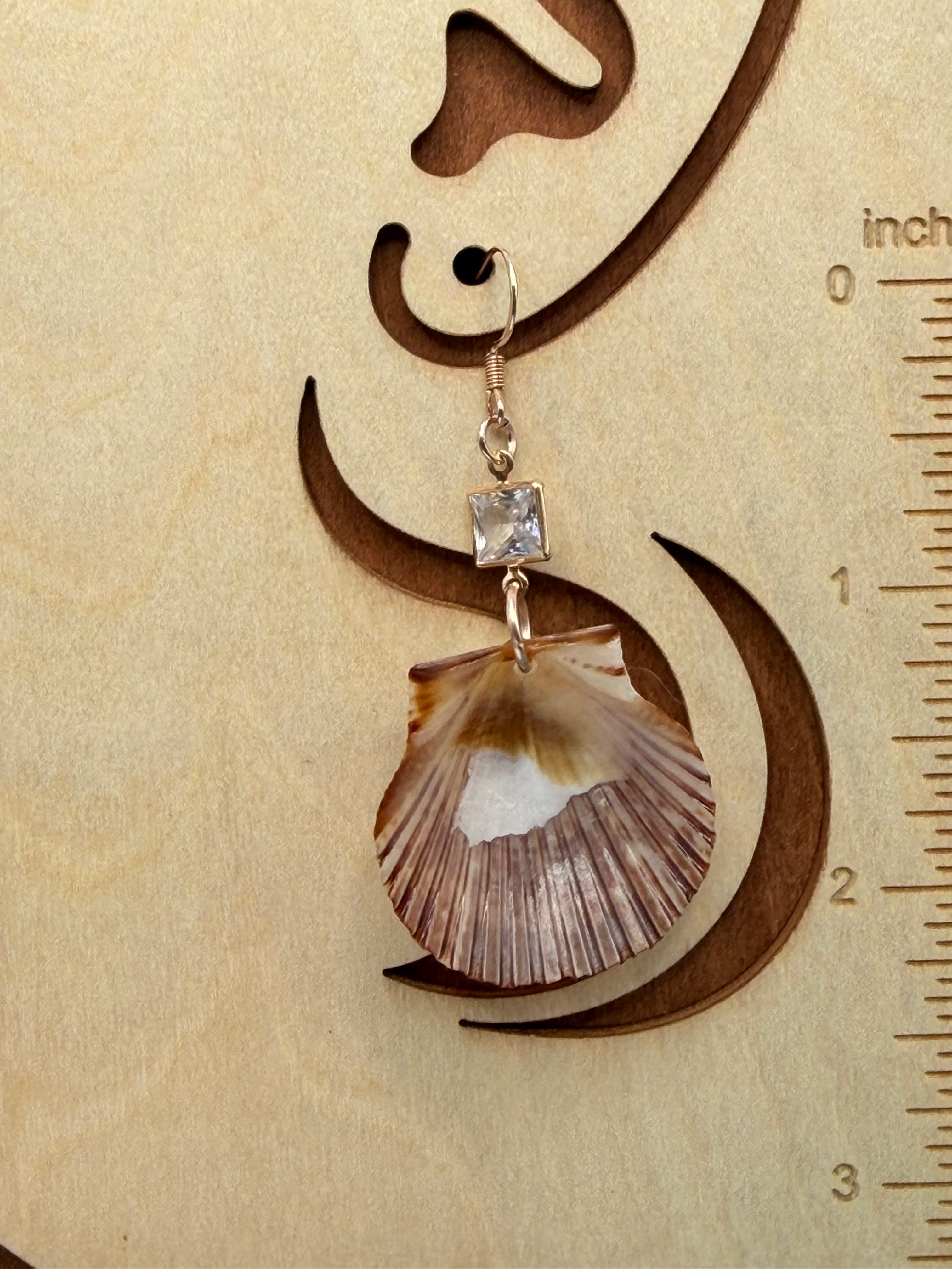 Calico scallop shell earrings pair on blue background