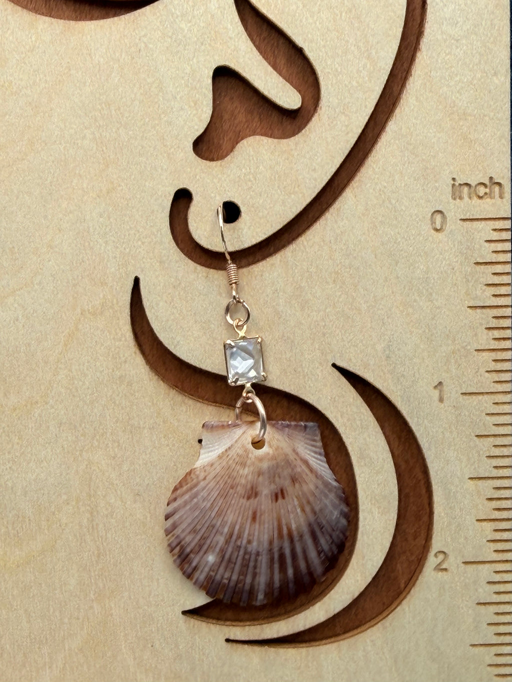 Calico scallop shell earrings on display stand