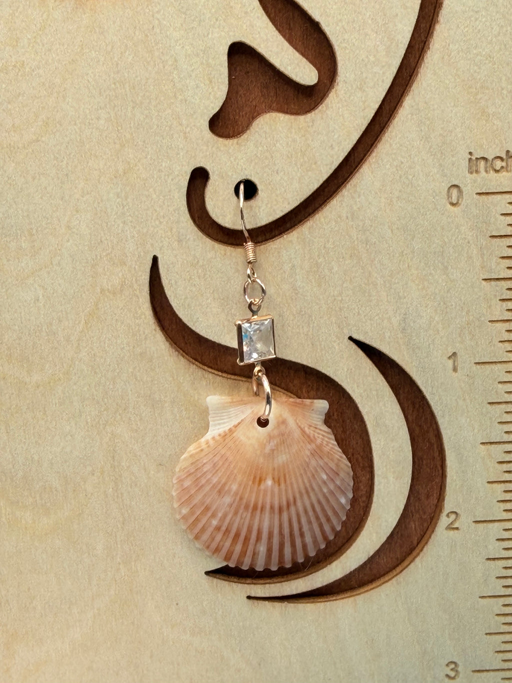 Calico scallop shell earrings close-up crystal accent detail