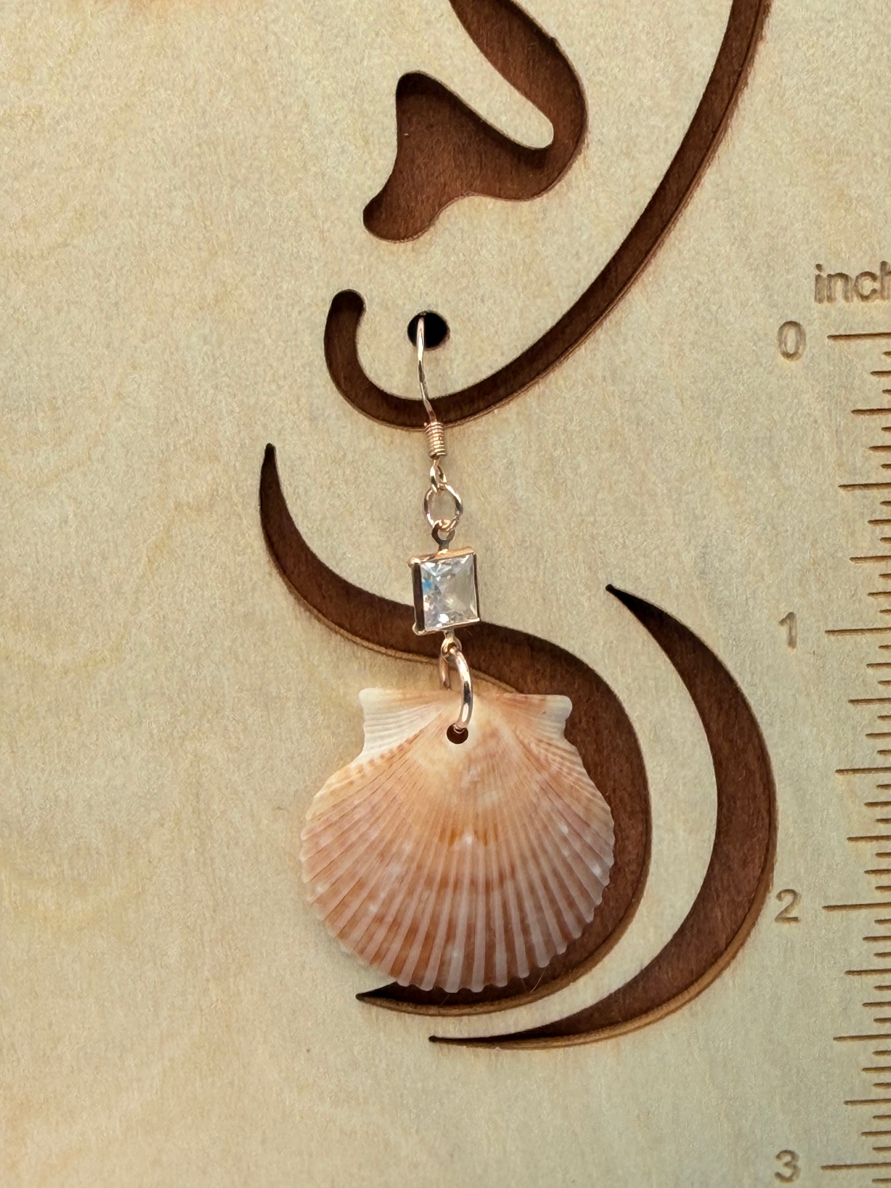 Calico scallop shell earrings close-up crystal accent detail