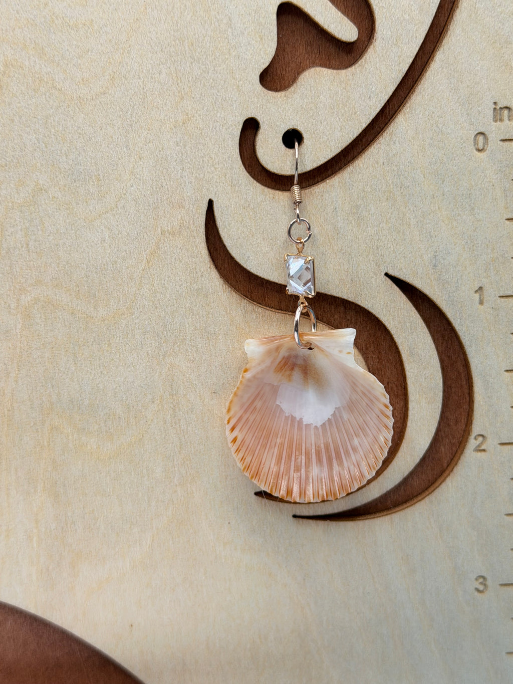 Pair of calico scallop shell earrings on display card front view