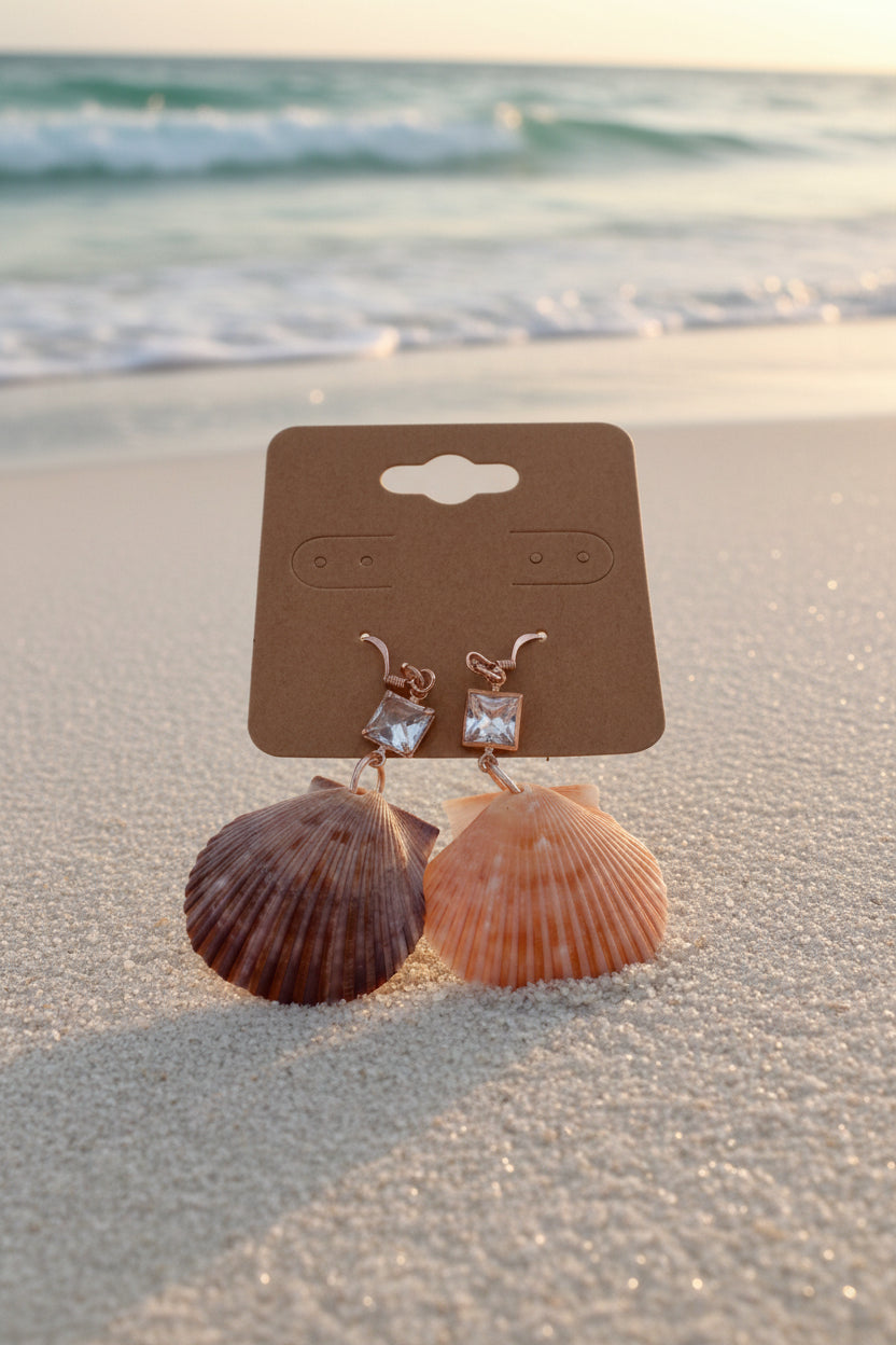 Calico scallop shell earring back of shell detail
