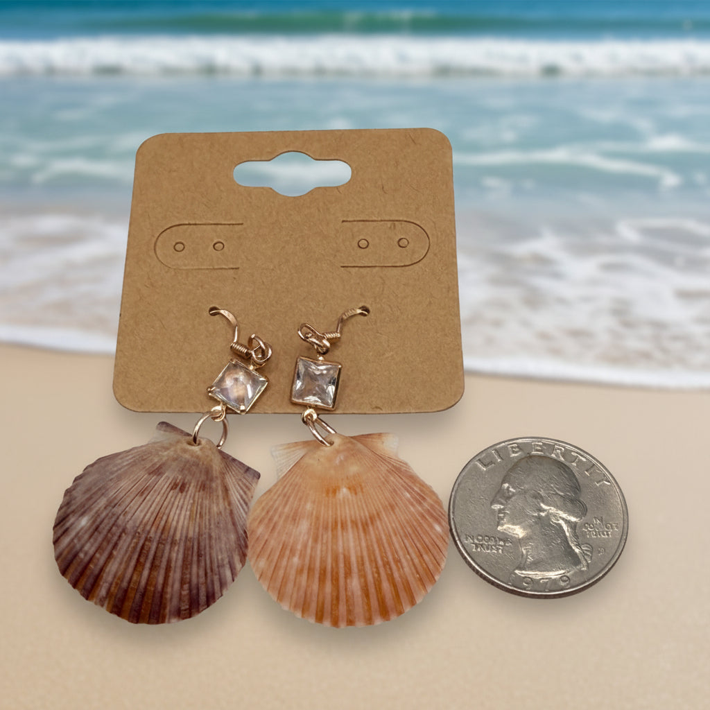 Calico scallop shell earring side view on wooden display