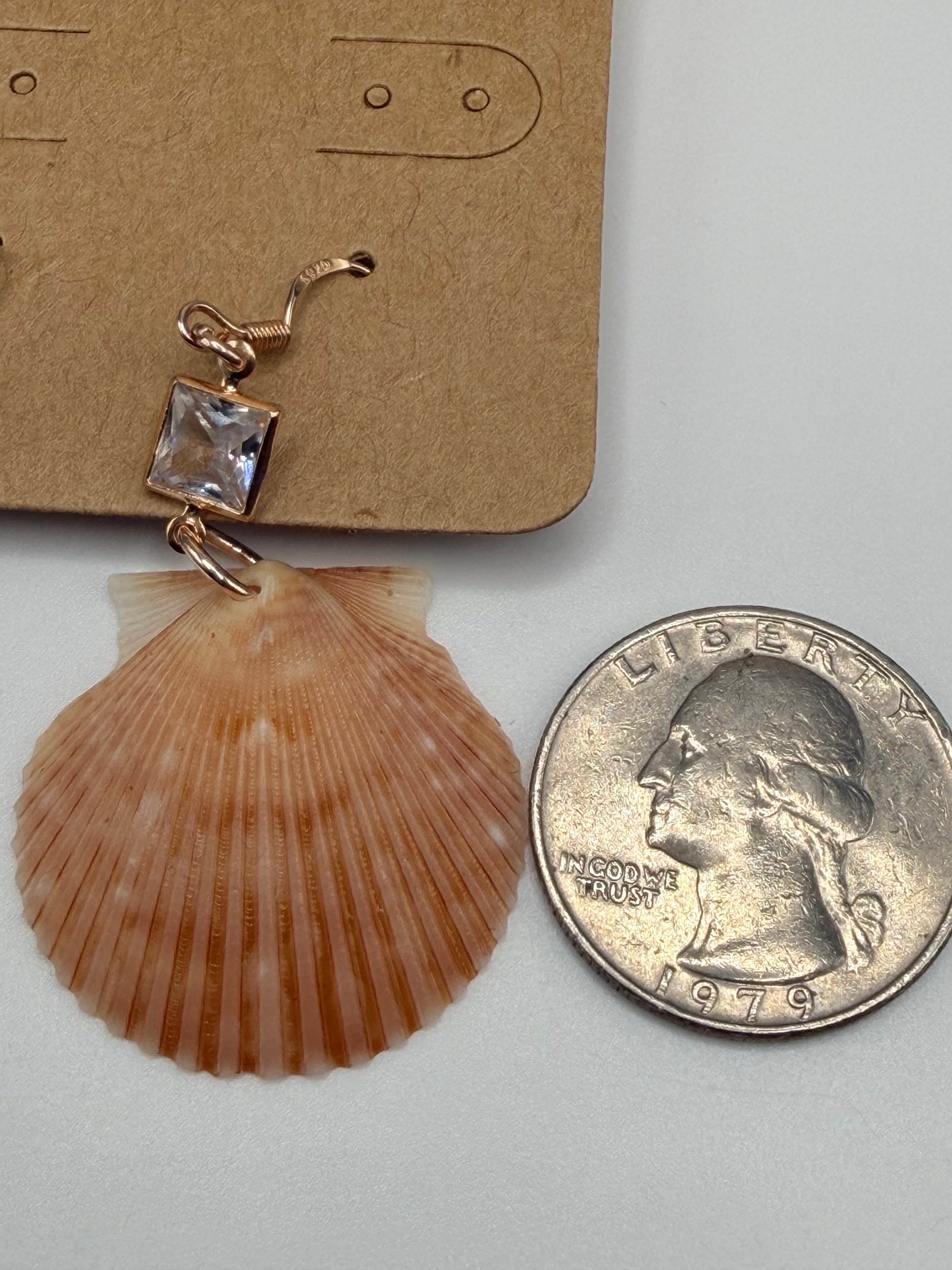 Light calico scallop shell earring on wooden ear display with ruler
