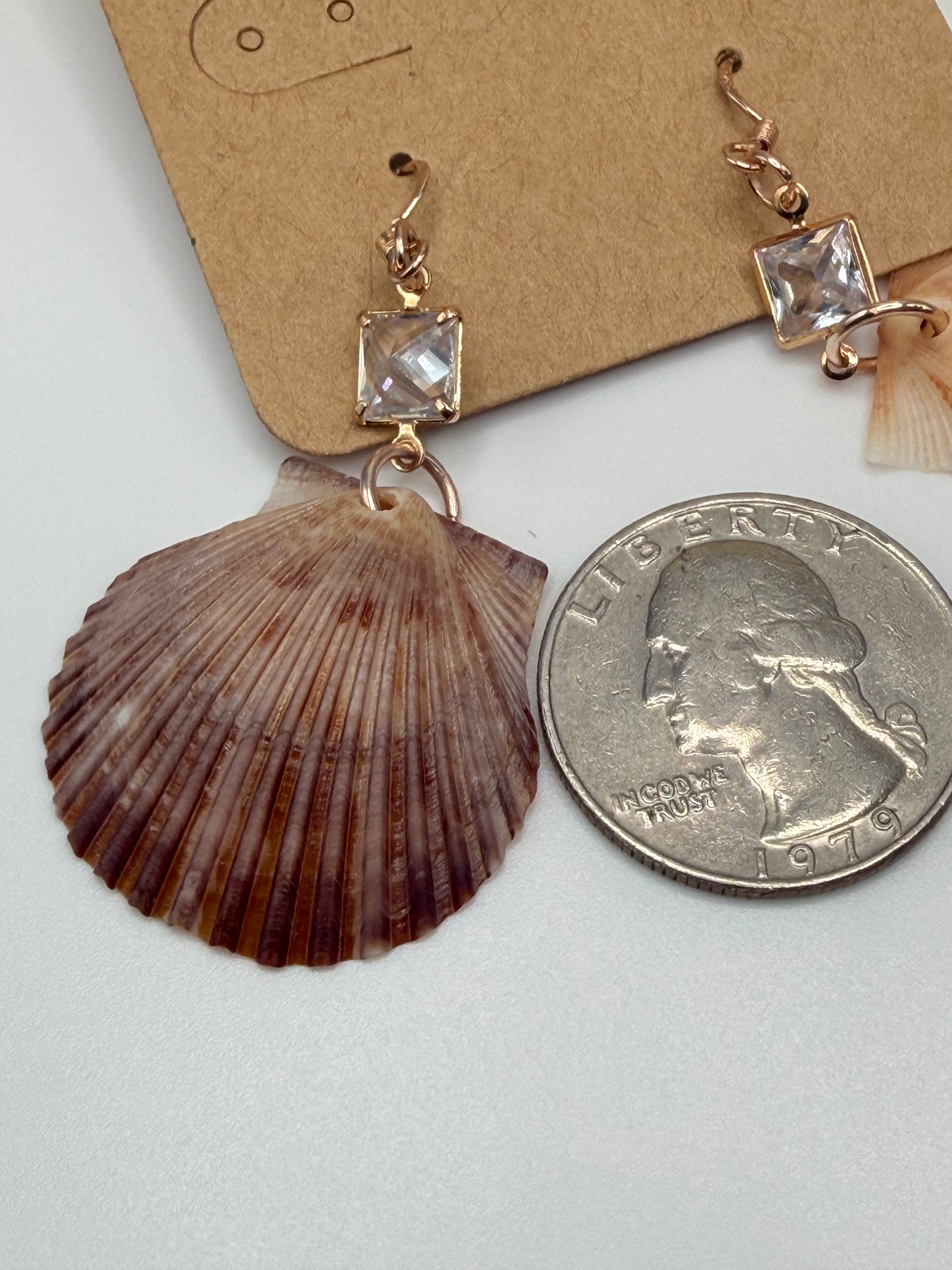 Calico scallop shell earring on wooden ear display with ruler showing 2 inch length