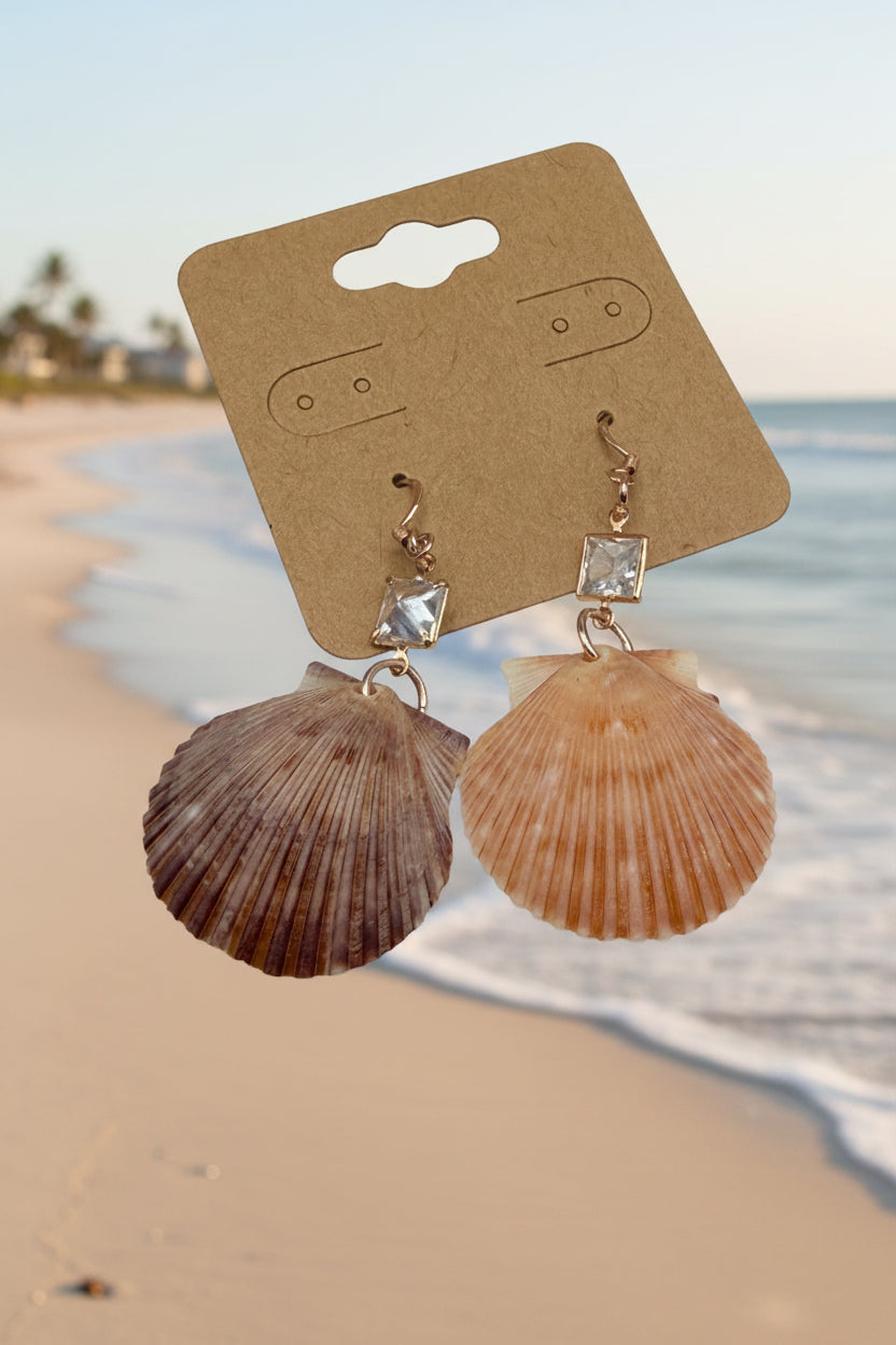 Calico scallop shell earrings on display card next to quarter for scale