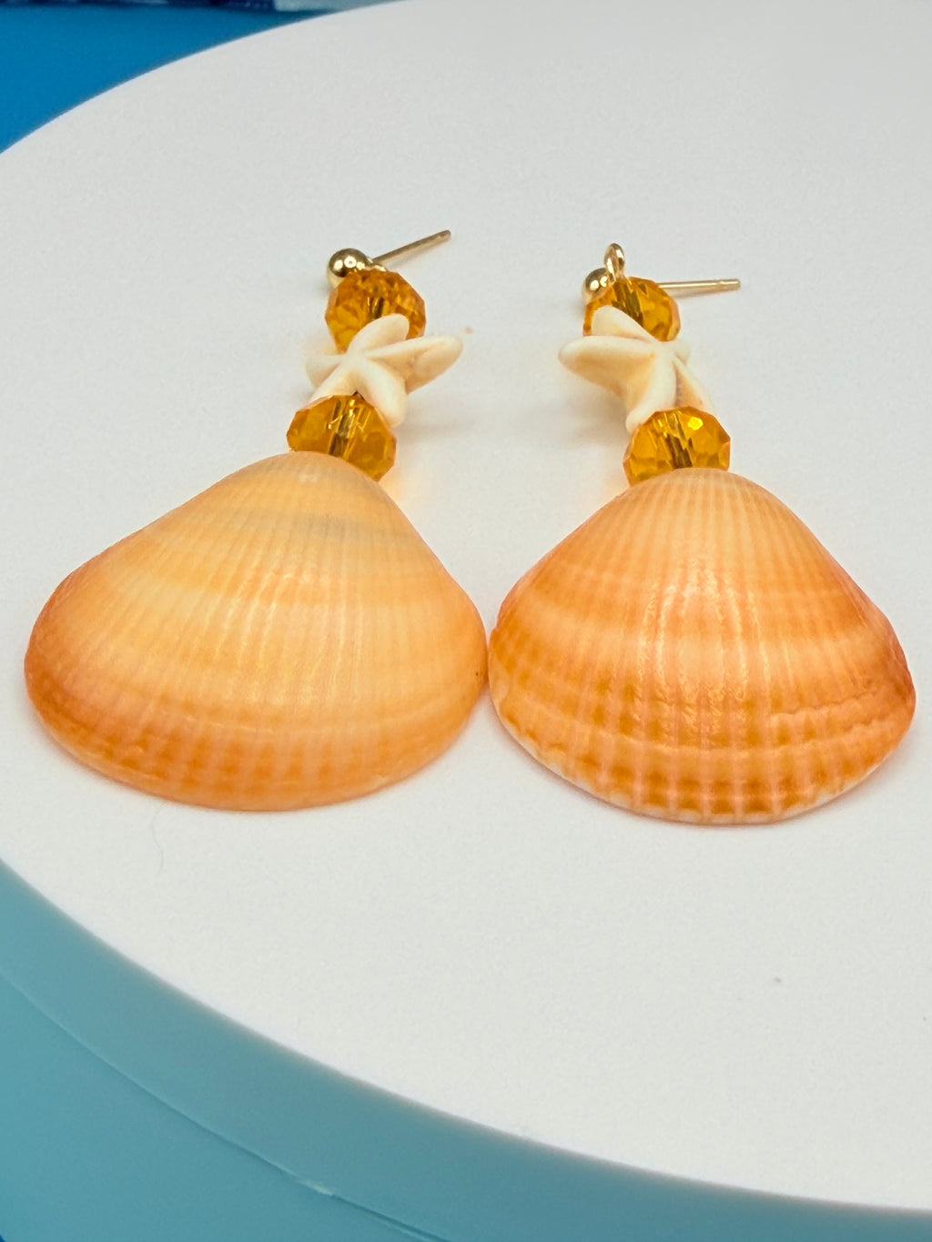 Pair of golden cockle shell earrings on white display stand with quarter for scale showing shell size