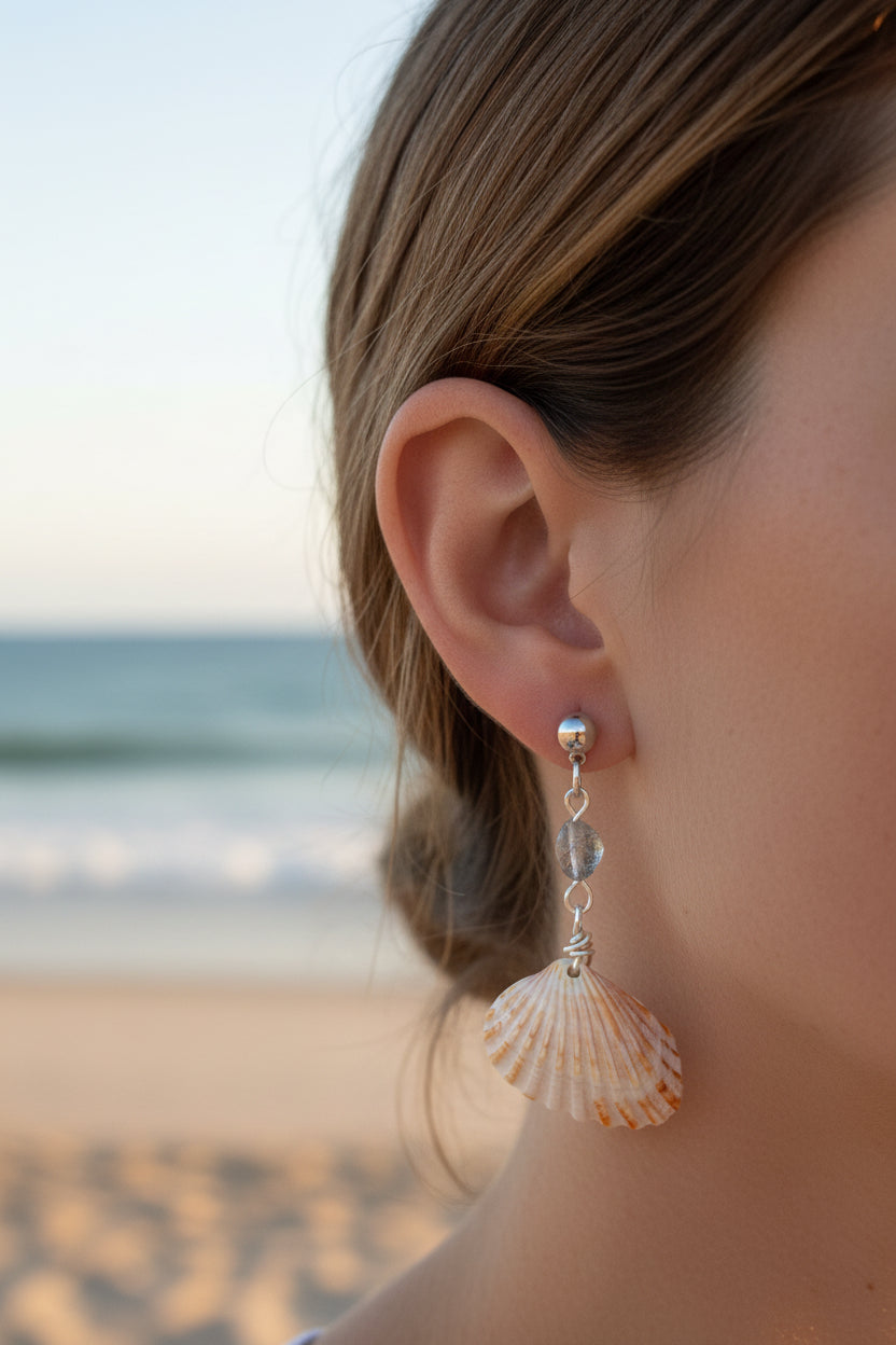 Cardita shell earring on display board front view