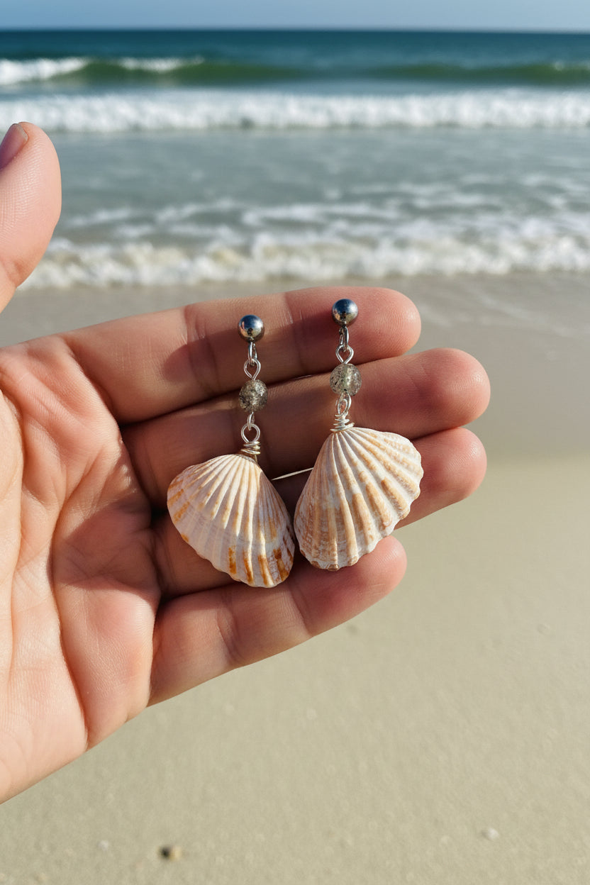 Cardita shell earrings pair view