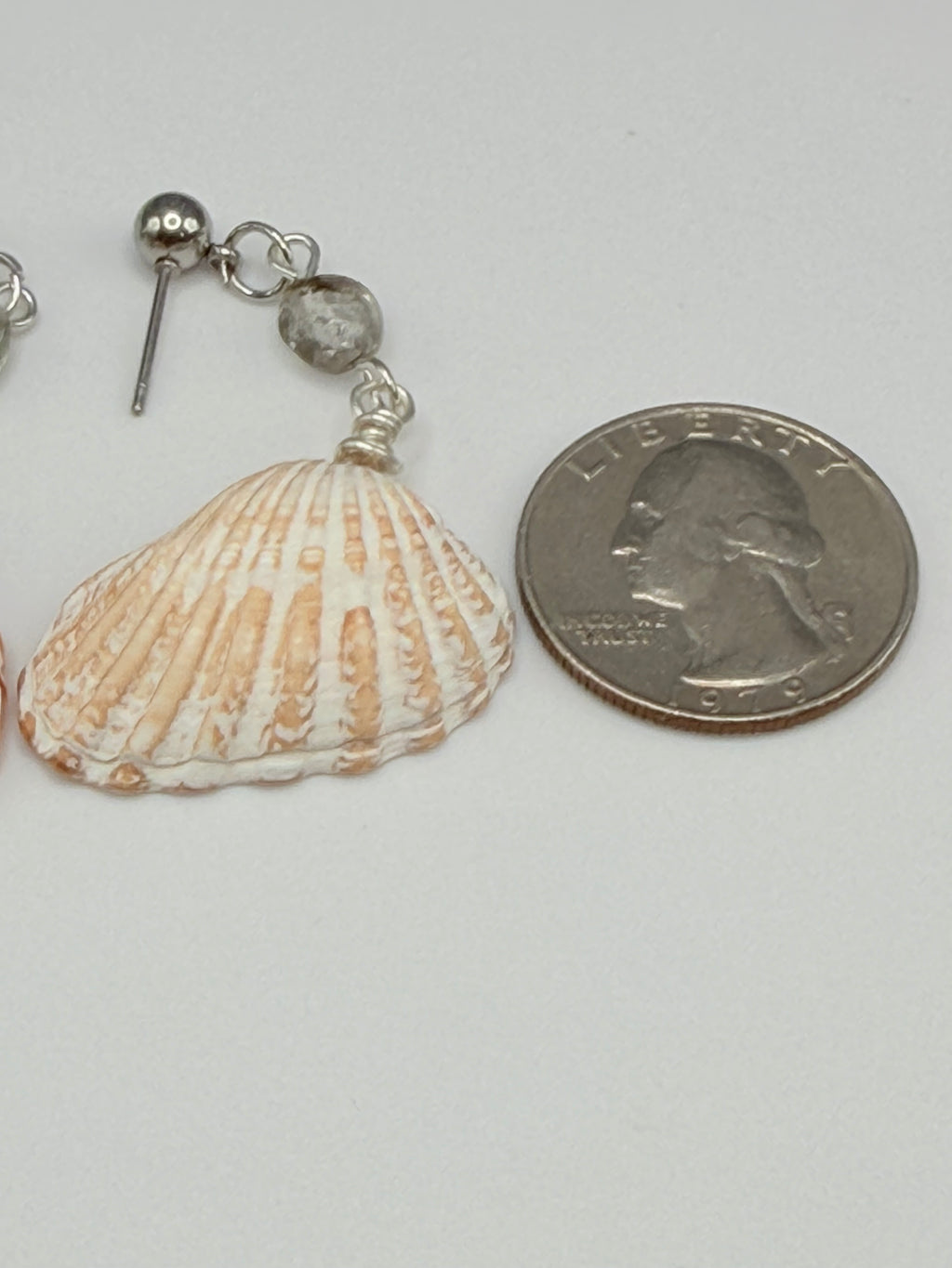 Cardita shell earrings on gold display stand
