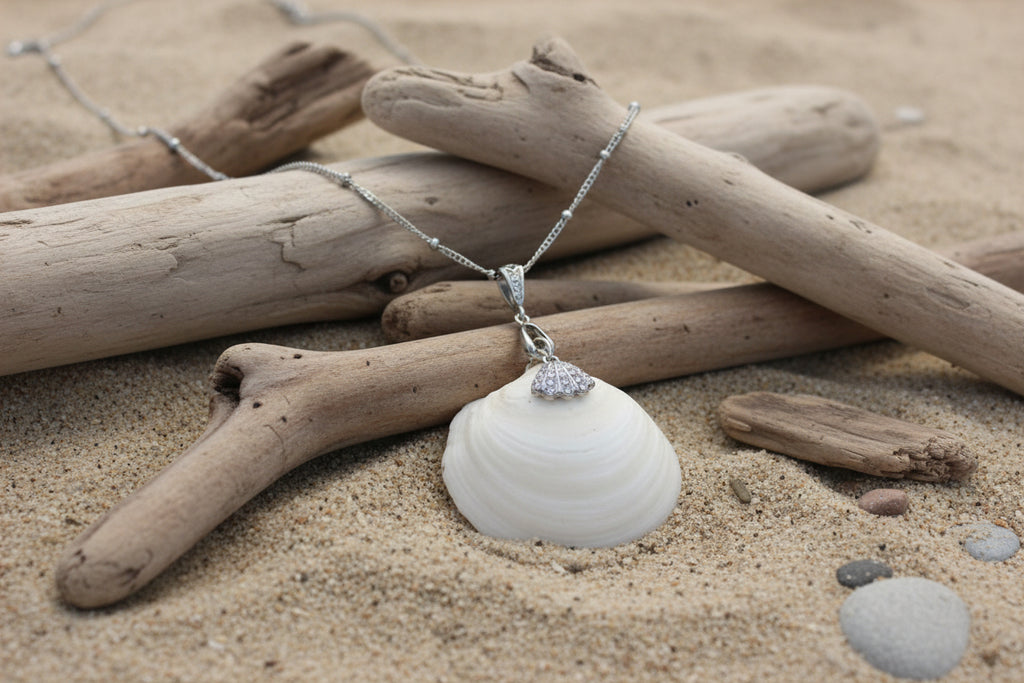 Silver Charm Butter Cup Necklace - White Butter Cup Shell with Silver Shell Charm from Florida Gulf Shores