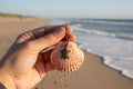 Ocean Map Shell Necklace