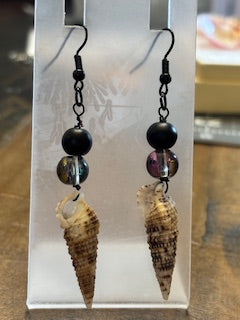 Shoreline Spiral Treasures