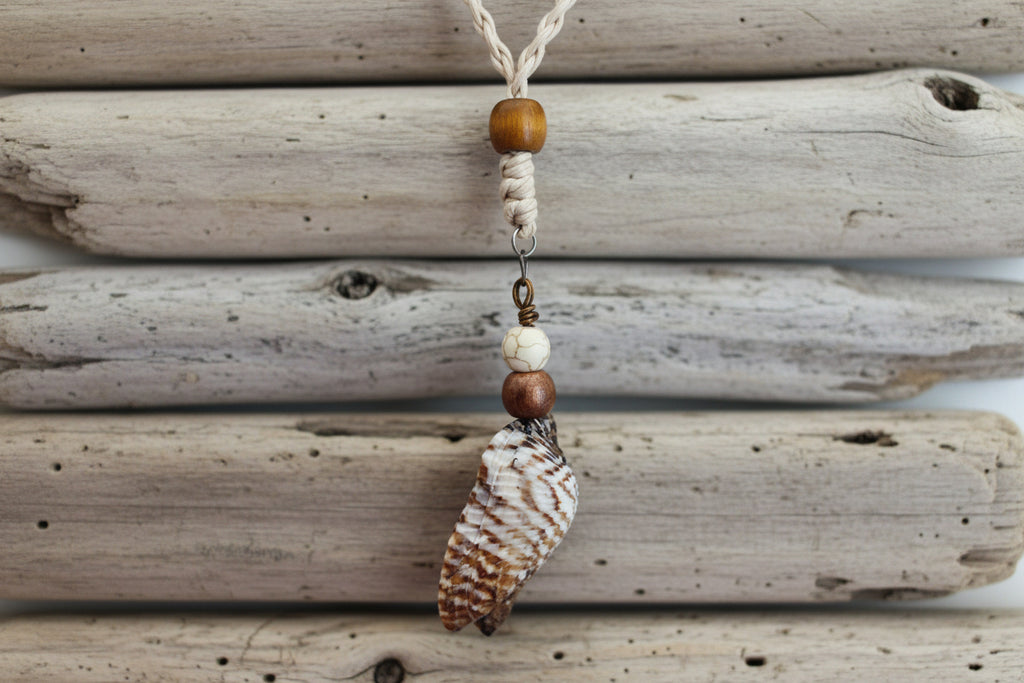 Turkeywing Stripes Shell Necklace