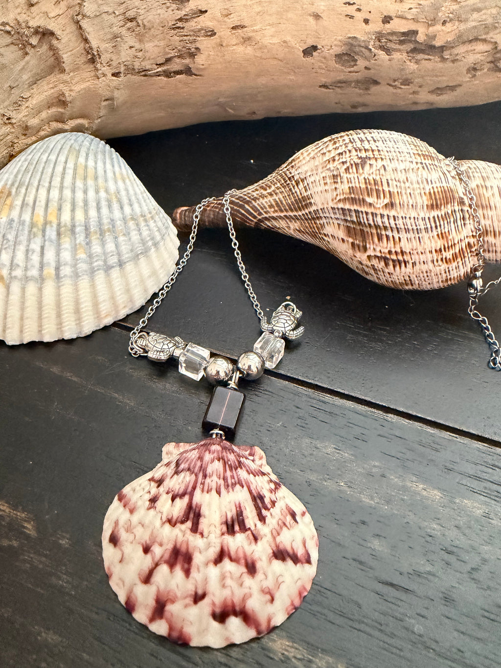 Twin Turtles Calico Scallop Stainless Steel Chain Necklace