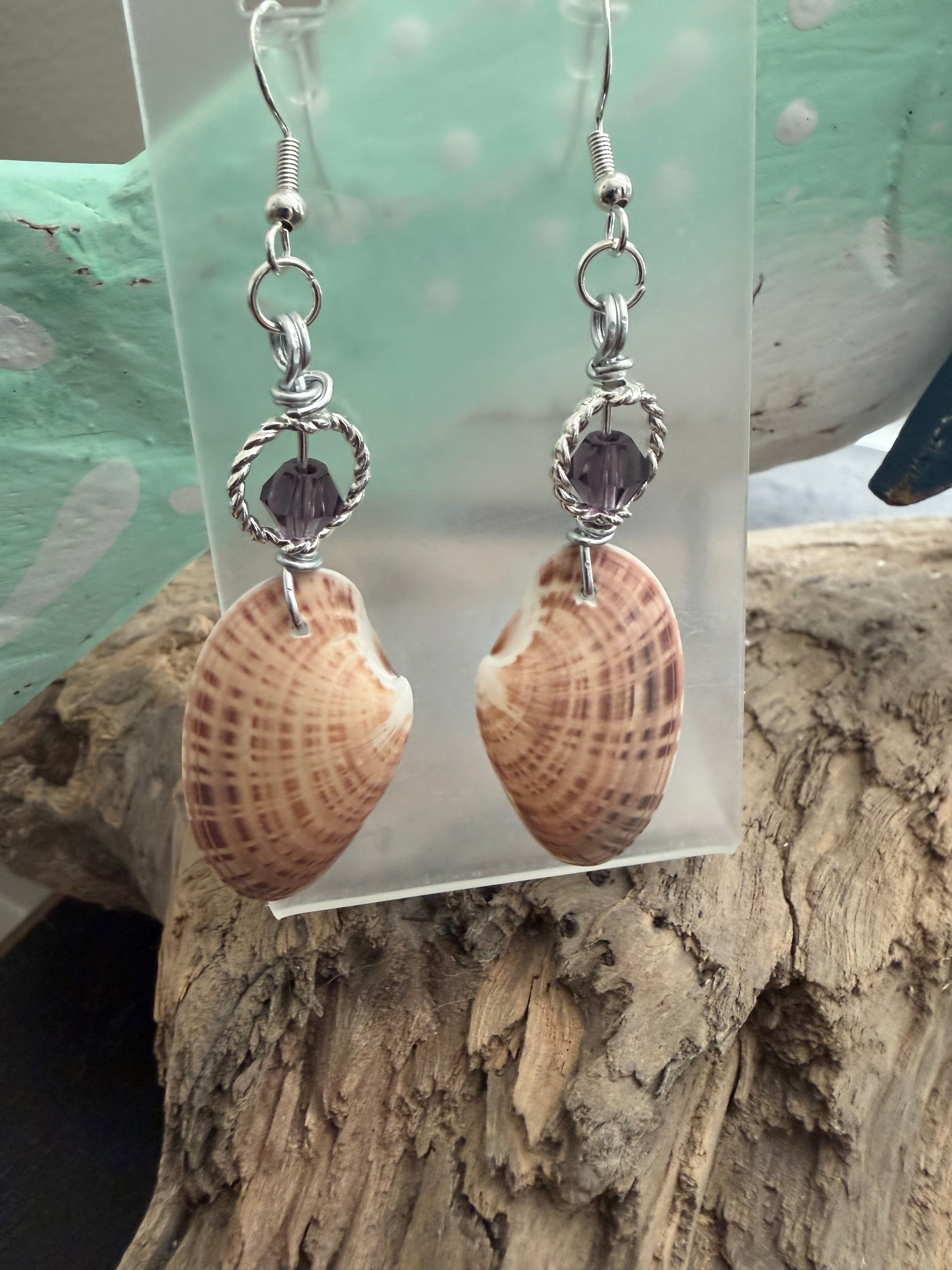 Lavender Cove Venus Shell Earrings