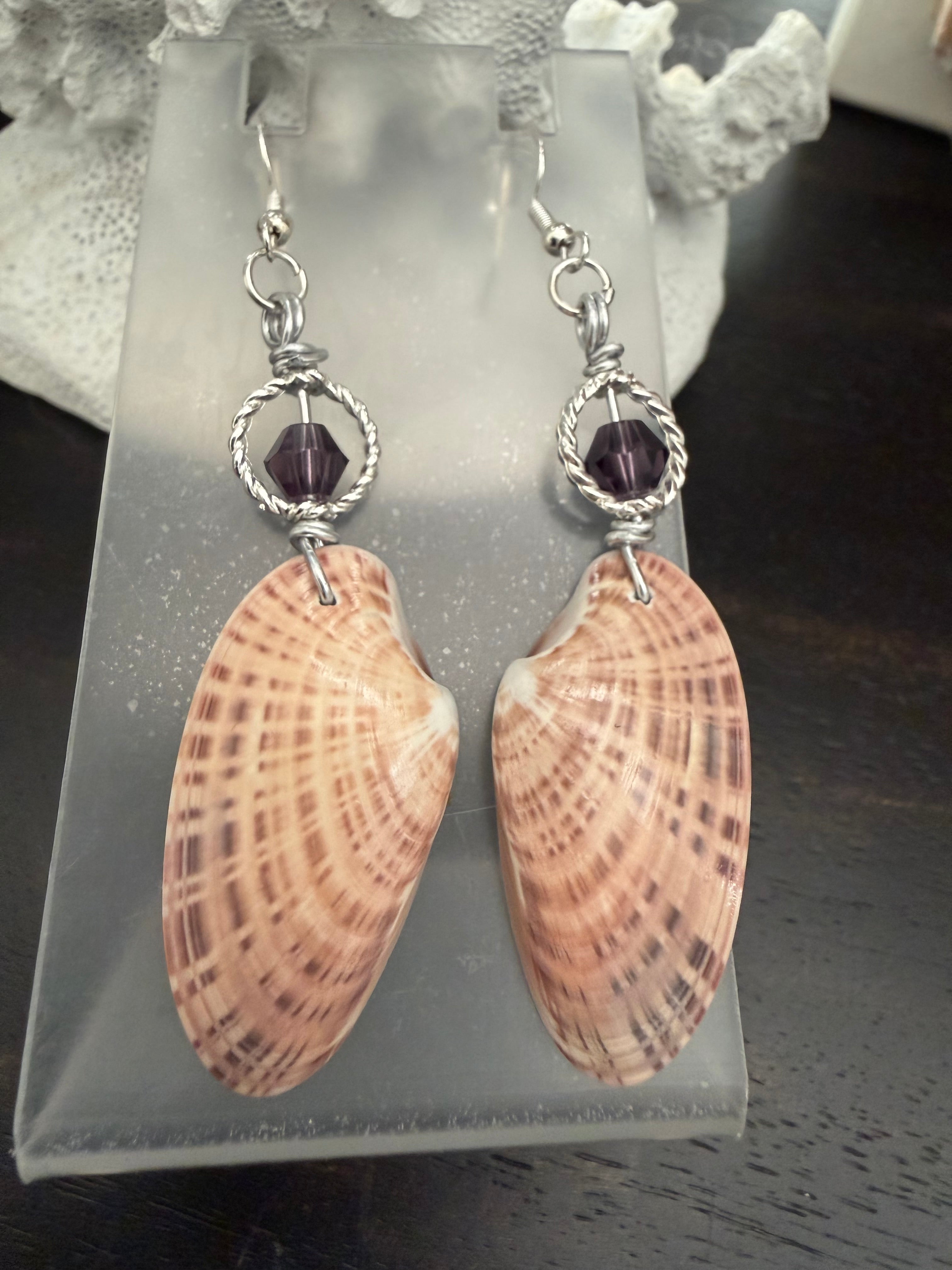 Lavender Cove Venus Shell Earrings
