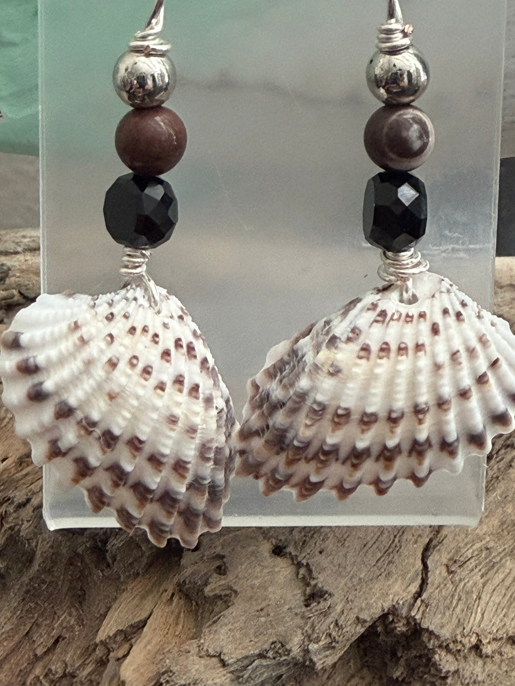 Spellbound Angel Wing Shell Earrings