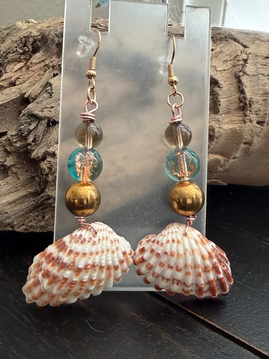 Sea Urchin Treasure Shell Earrings