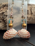 Sea Urchin Treasure Shell Earrings