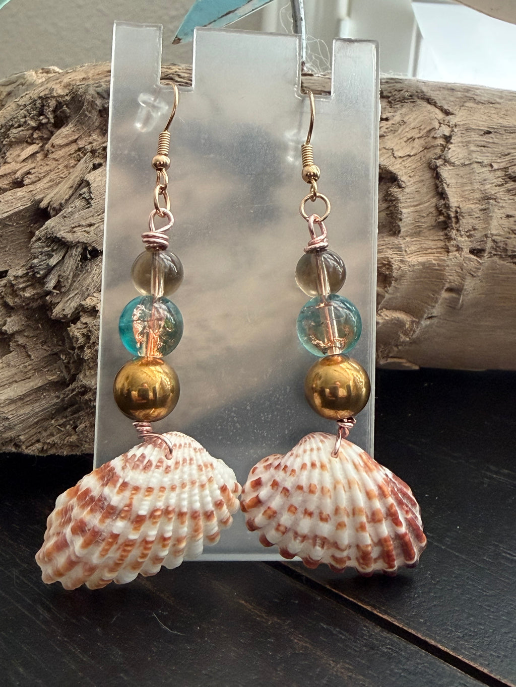 Sea Urchin Treasure Shell Earrings