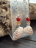 Carnelian Sunset Cardita Shell Earrings