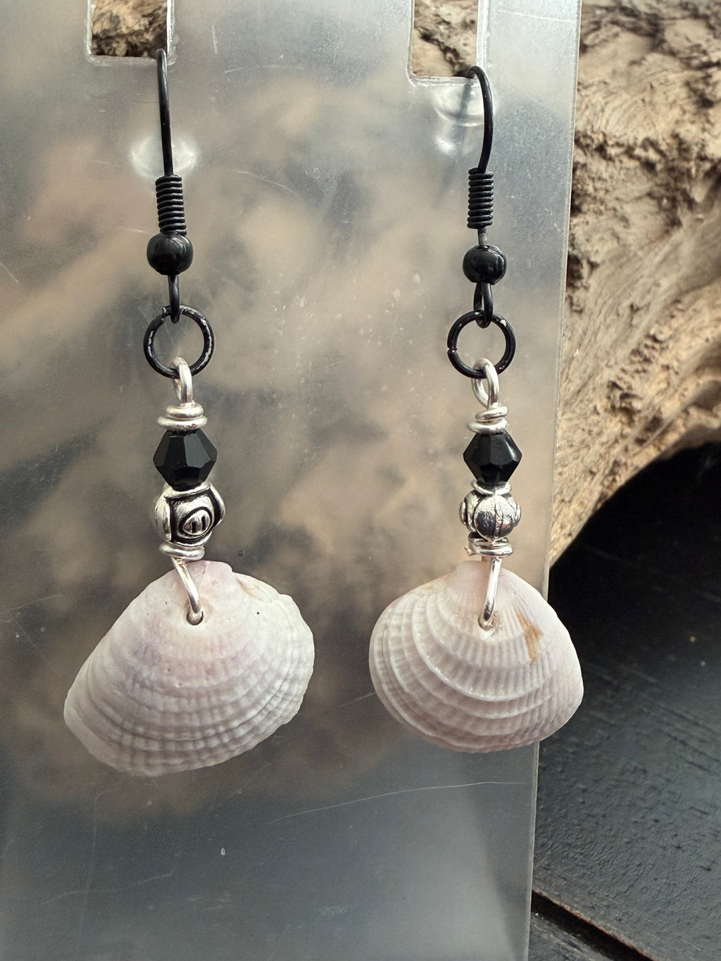 Obsidian Rocker Shore Cockle Shell Earrings