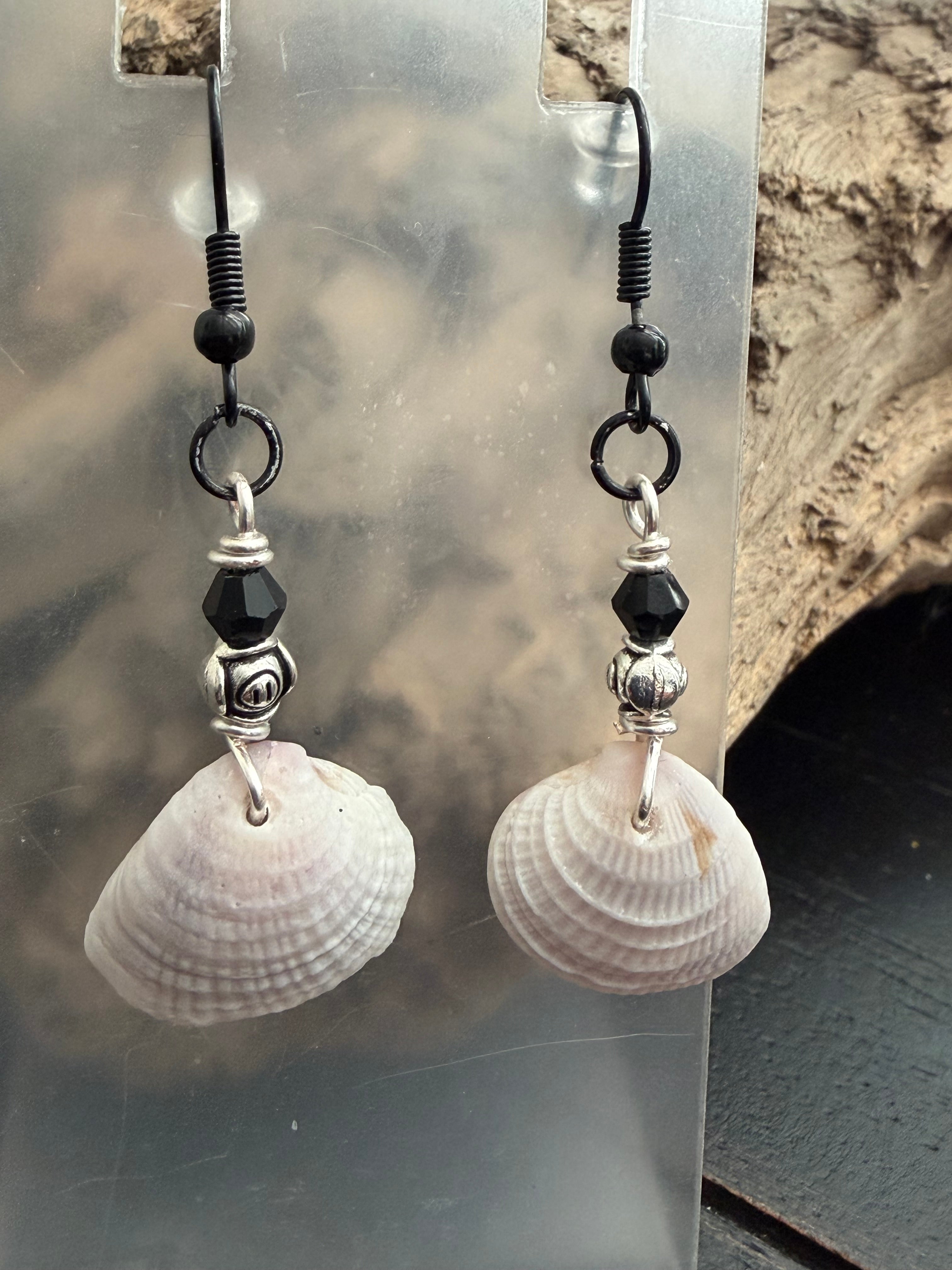 Obsidian Rocker Shore Cockle Shell Earrings