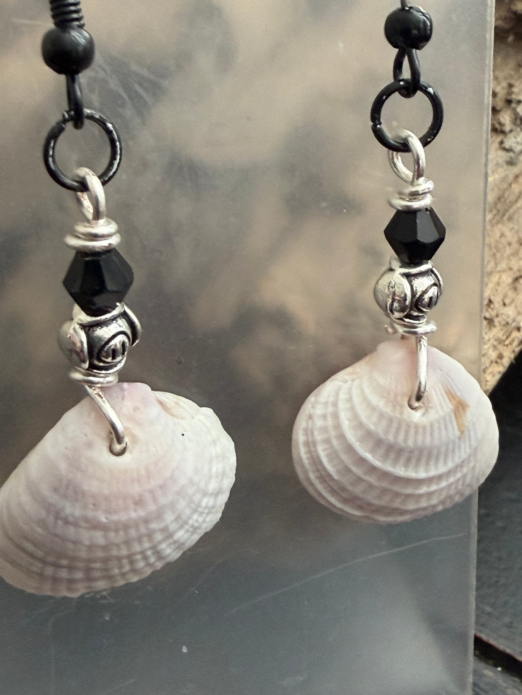 Obsidian Rocker Shore Cockle Shell Earrings