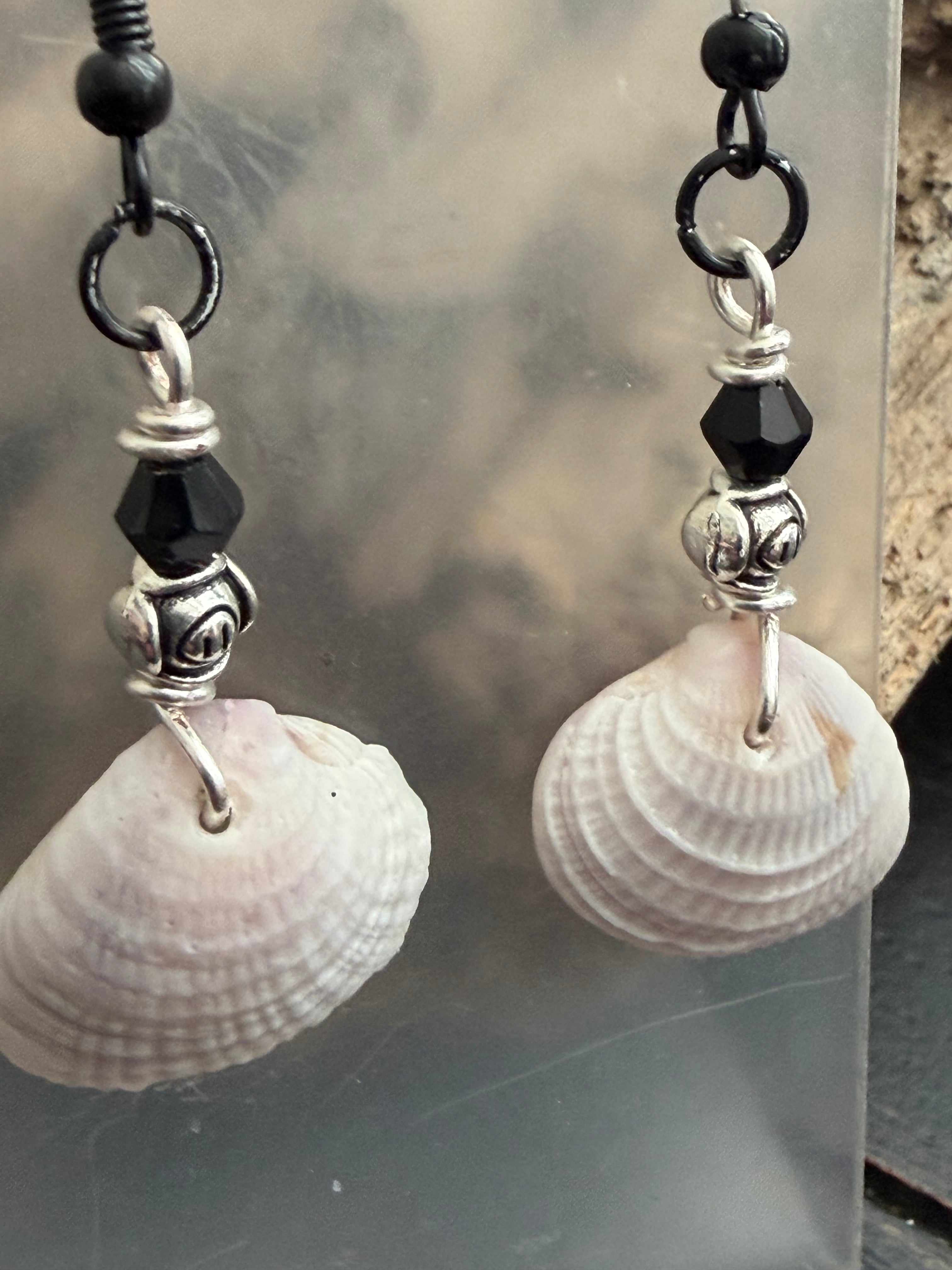 Obsidian Rocker Shore Cockle Shell Earrings