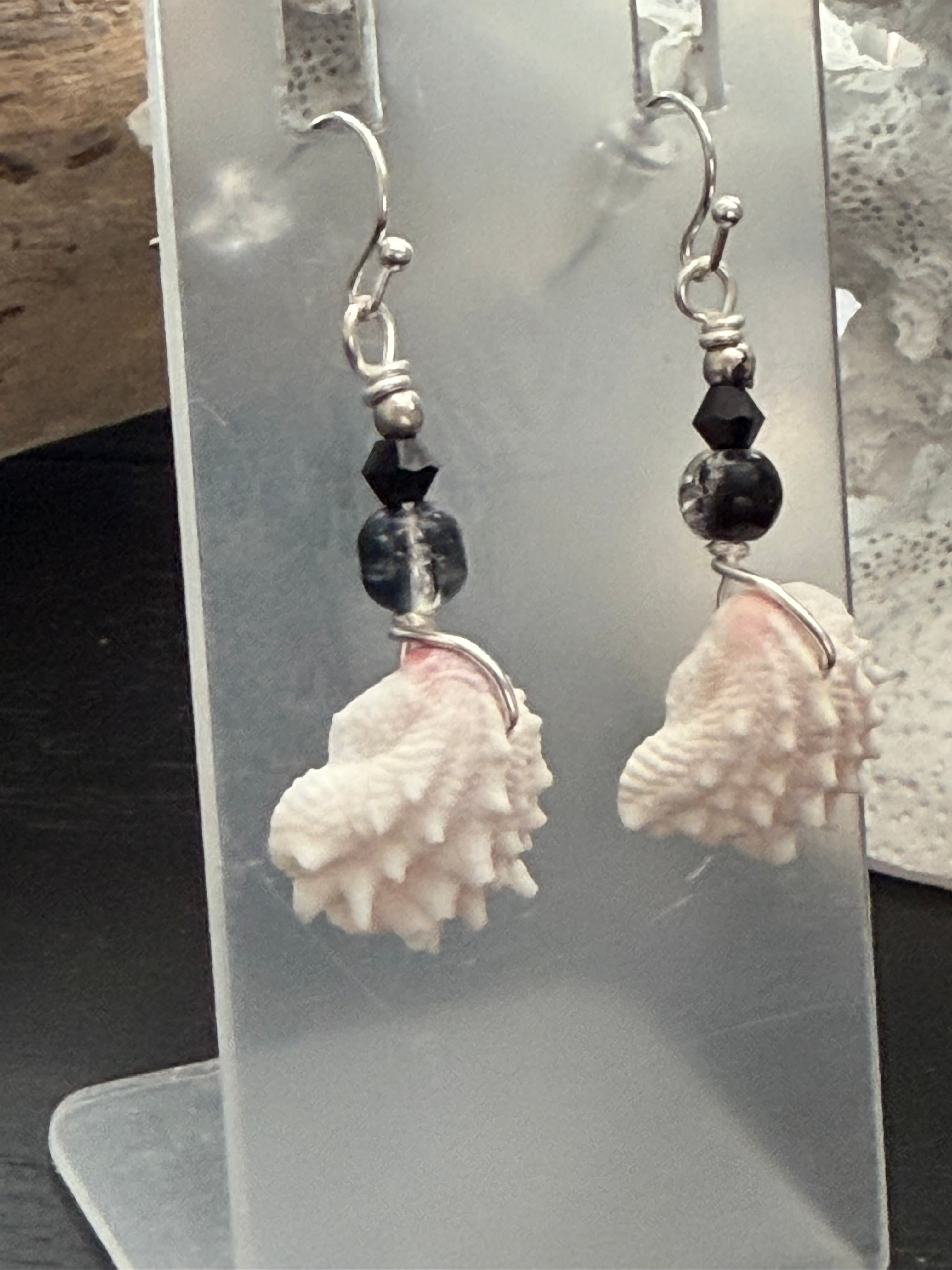 Midnight Shine Wave Shell Earrings