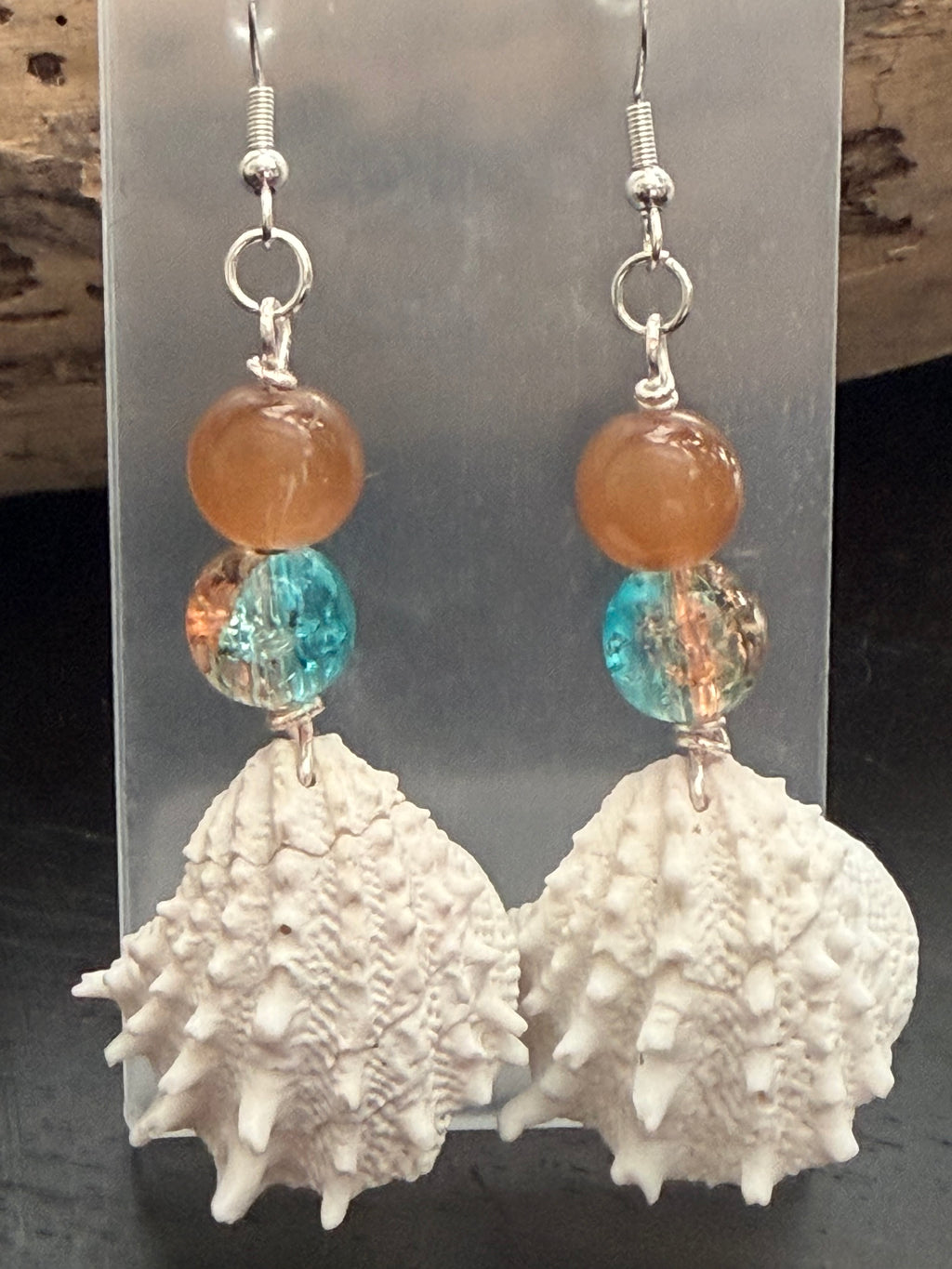 Coastal Coral Spiny Jewel box  Shell Earrings