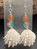 Coastal Coral Spiny Jewel box  Shell Earrings