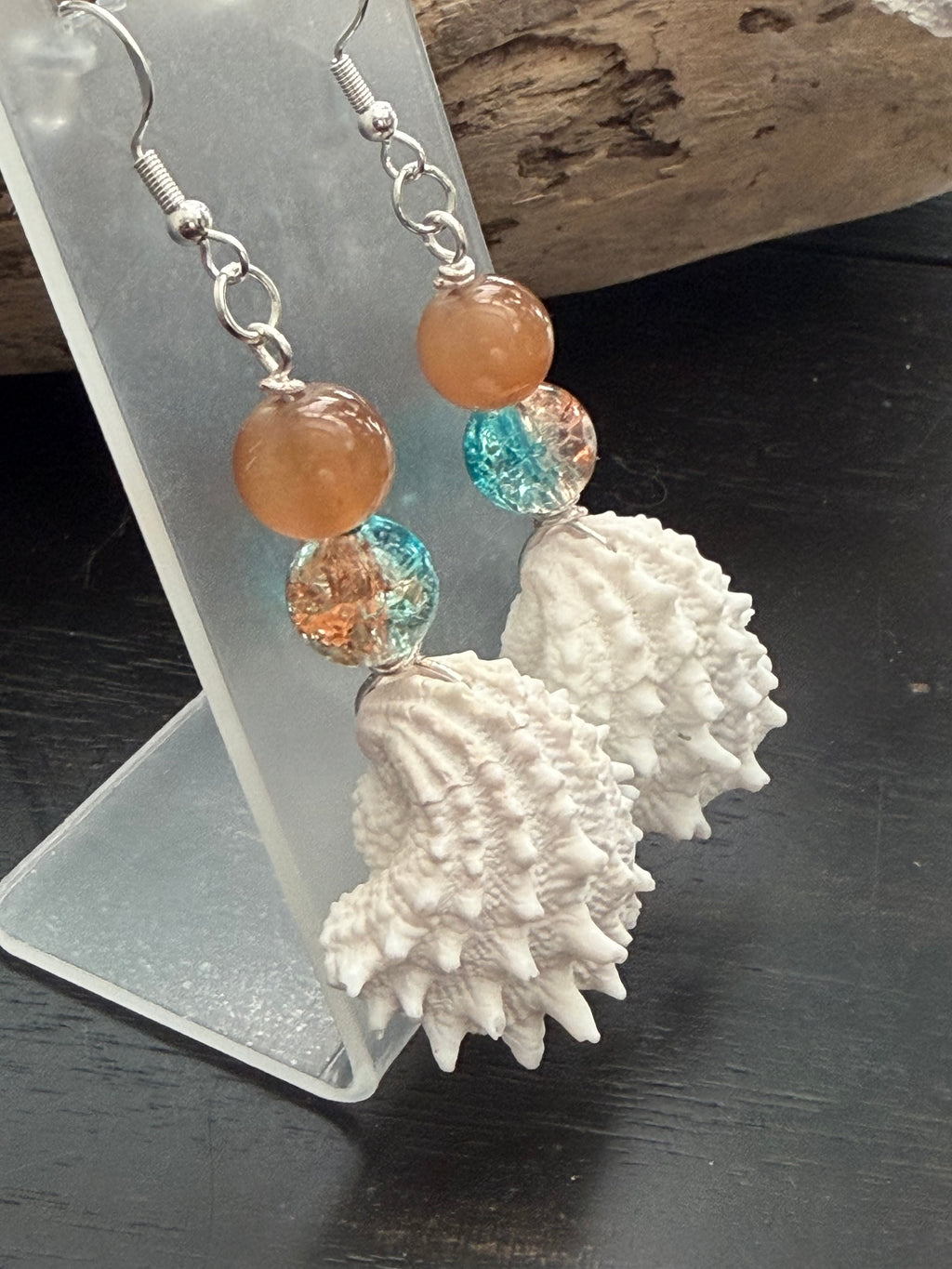Coastal Coral Spiny Jewel box  Shell Earrings