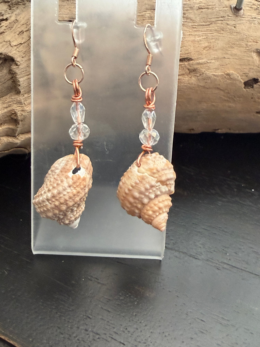 Crystal Driftwood Turban Shell Earrings