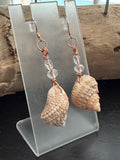 Crystal Driftwood Turban Shell Earrings