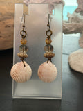 Champagne Shore – Blush Cockle Shell & Champagne Crystal Earrings on Antique Copper Ear Wires